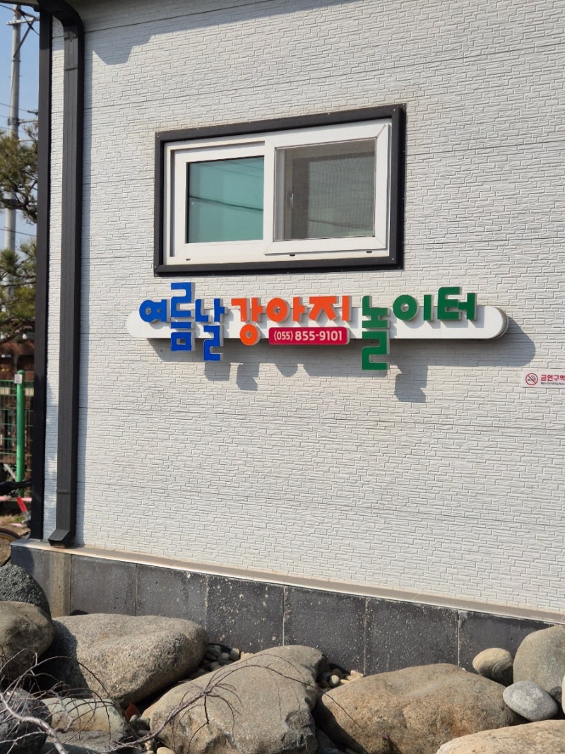 사진 4