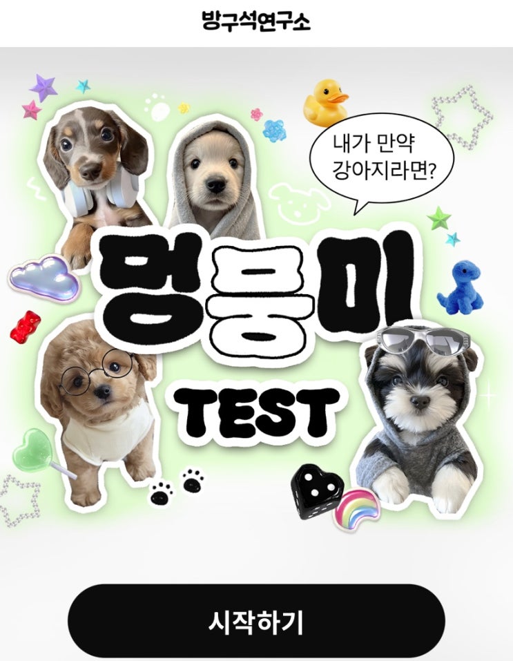  멍뭉미 테스트, 내가 강아지라면 어떤 멍뭉미를 가지고 있을지 알아보기!