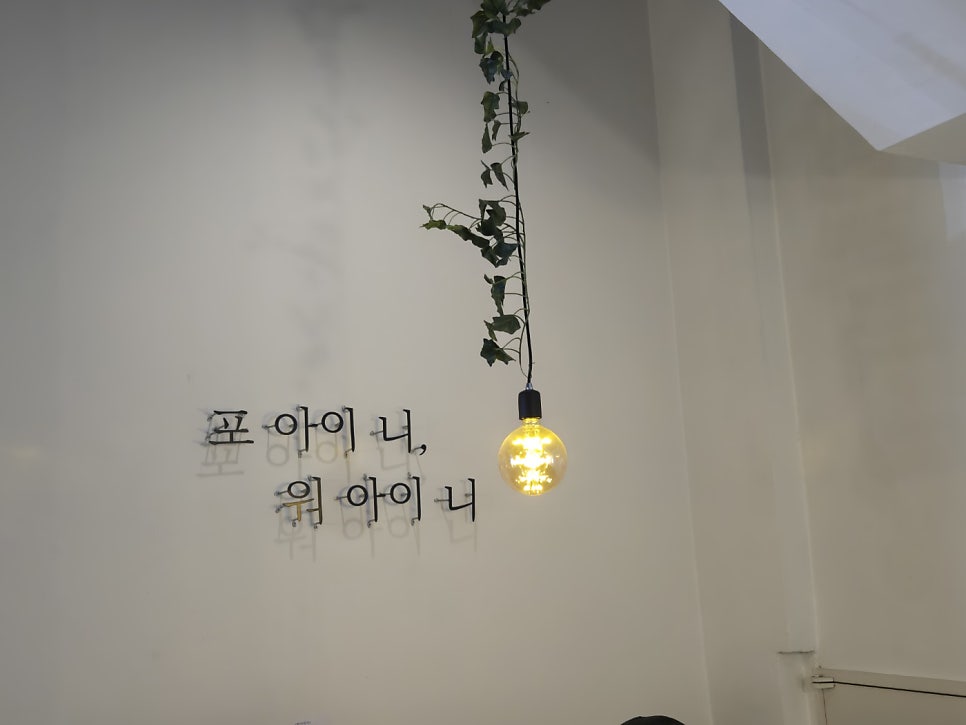 포아이니 사진 4