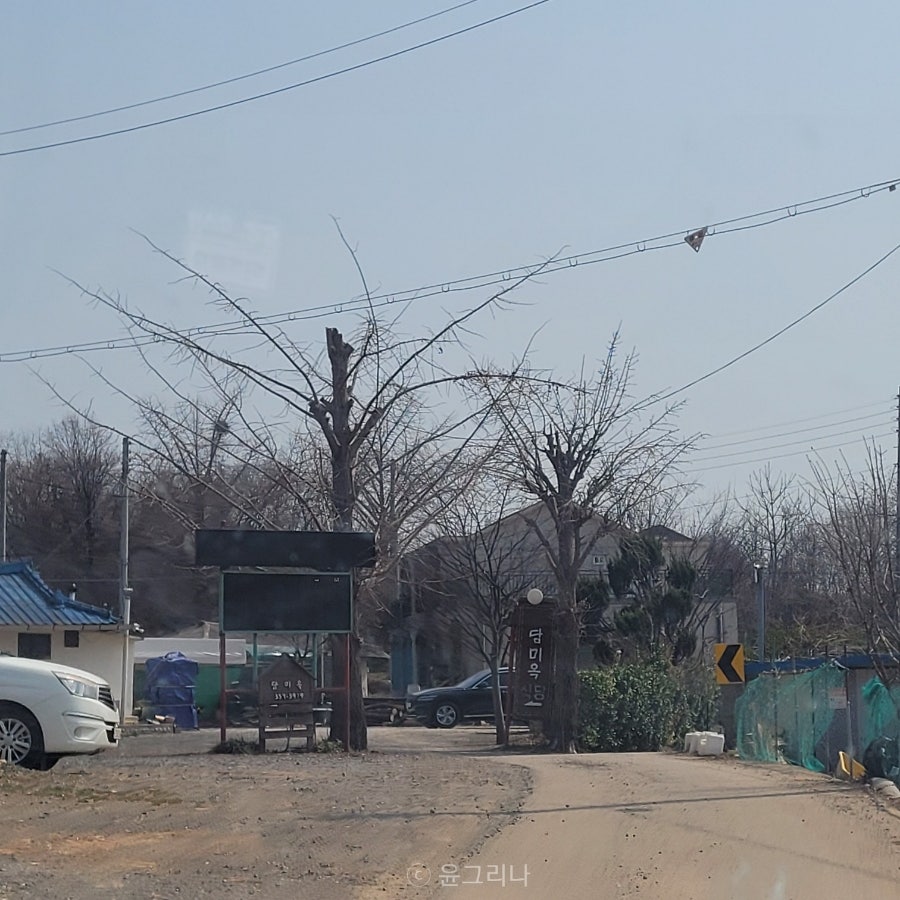 담미옥 사진 2