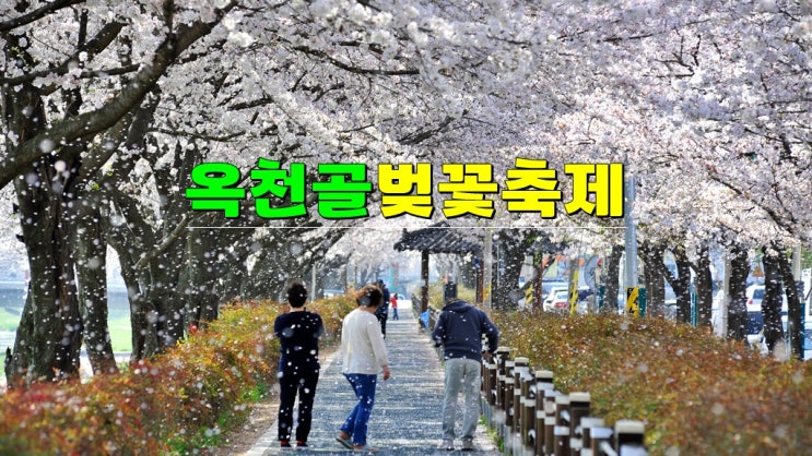 전북 순창 3월 4월 가볼만한곳 · 2025 옥천골 벚꽃축제 기본정보 · KBS 전국노래자랑 순창군편 전북 순창 3월 4월 가볼만한곳 · 2025 옥천골 벚꽃축제 기본정보 · KBS 전국노래자랑 순창군편