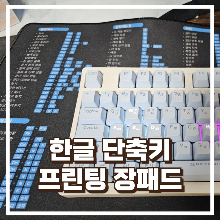 책상 위 꿀템! 일상나눔 한글 단축키 프린팅 마우스 장패드 내돈내산, 할인정보