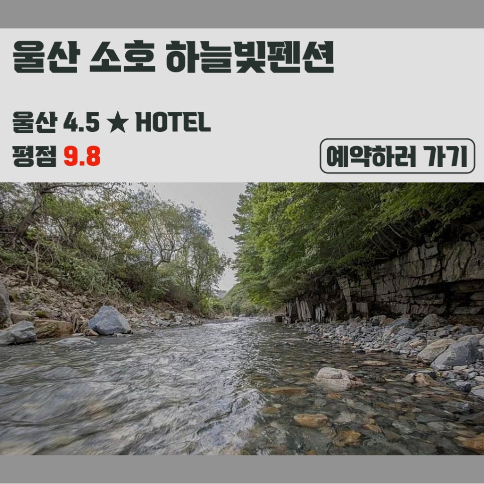 소호하늘빛펜션 사진 1