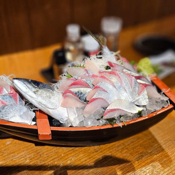  마쓰야마 맛집 이자카야 아미모토 오사사 고등어회