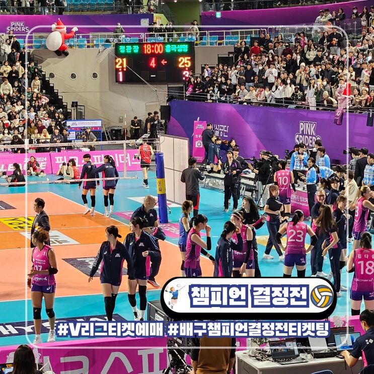  배구 챔피언 결정전 예매 일정 남자 현대캐피탈 여자 흥국생명 v리그 티켓팅