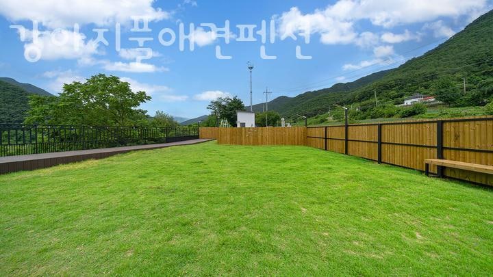 강아지풀애견펜션 사진 4
