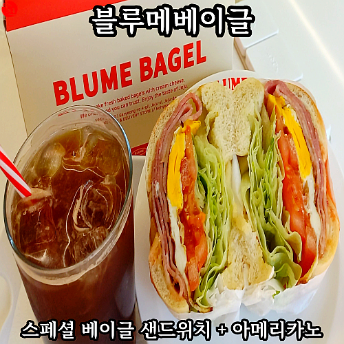 제주시 베이글 샌드위치 맛집은? 제주 빵집 블루메베이글
