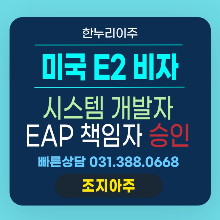 시스템 개발 책임자의 미국 조지아주 파견 비자 승인