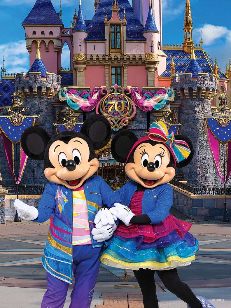 🎉 70주년 단 한 번의 찬스! LA 디즈니랜드 티켓 5% 할인 받는 법 🎡 | LA 디즈니랜드 티켓 예약, 입장권 종류, 티켓  등록, 할인 : 네이버 블로그