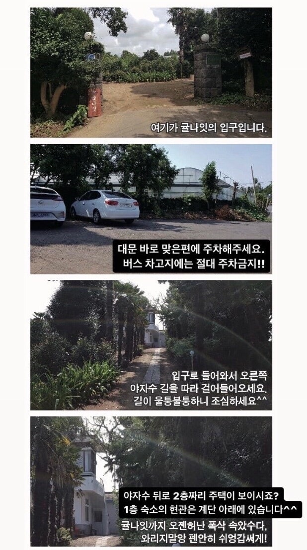 귤나잇 사진 5