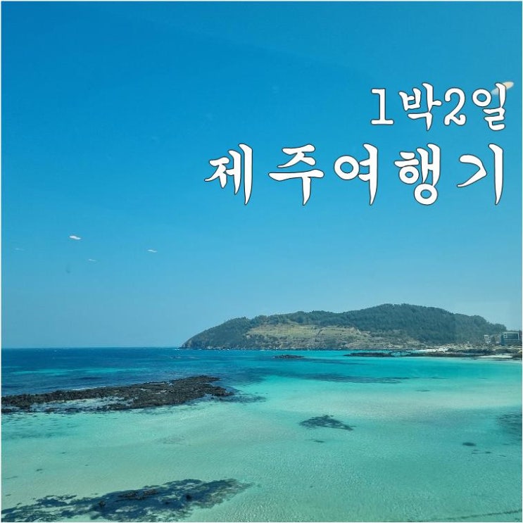  형제들과 함께한 1박2일 제주도 여행