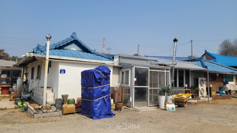 담미옥 사진 3
