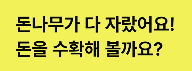  3월 25일 초대 케이뱅크 돈나무 키우기, 블루카드 리워드, 봄소풍 보물 지도 찾기 미션