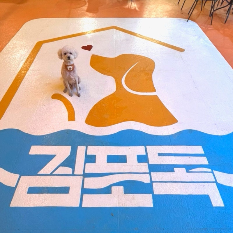 사진 5