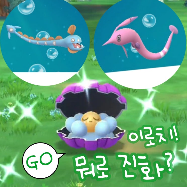  포켓몬고 이로치 진주몽 진화 방법 이름 분홍장어 아니에요