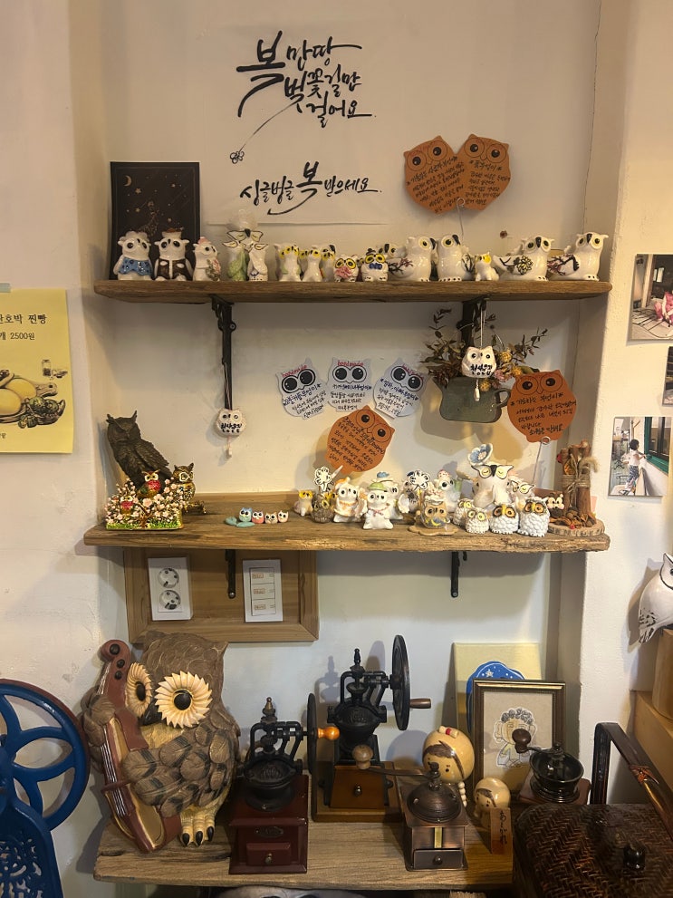 진해 카페 : 부엉이 카페 (진해중앙시장 부엉이길)