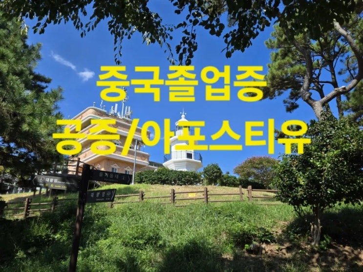 중국대학교 성적서 번역공증