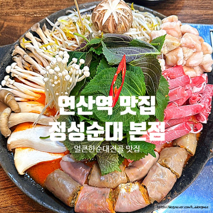  부산 연산역 맛집 '정성순대 본점' 얼큰한 순대전골 사리무한 후기