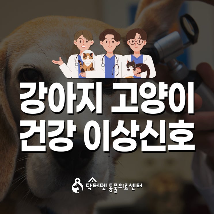  강아지 고양이들이 보이는 건강 이상신호 징후 (부산 건강검진 동물병원 닥터펫동물의료센터)
