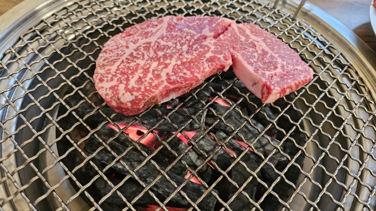  모임장소로 딱인 수원정육식당 수원 한우마을!