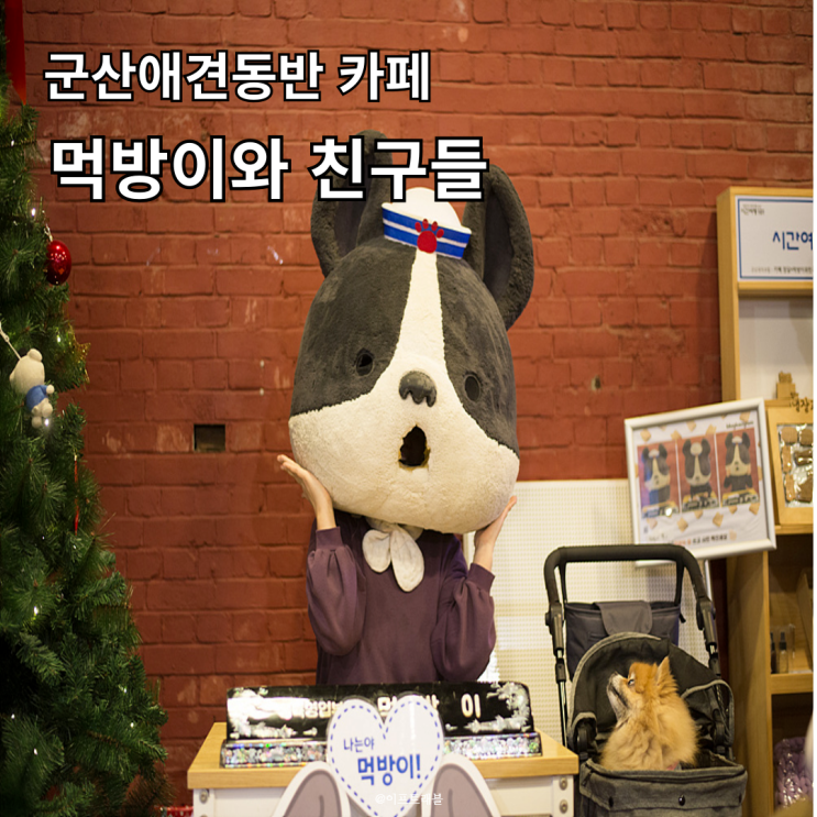  군산 애견 동반 카페 먹방이와 친구들 근대화 거리
