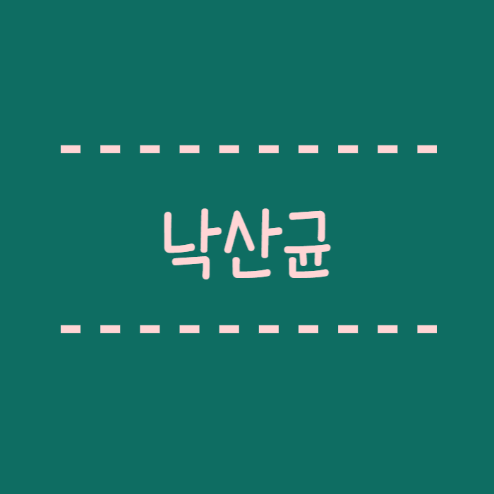  낙산균 이란? 유산균과의 차이 어떤효능이 있나요?