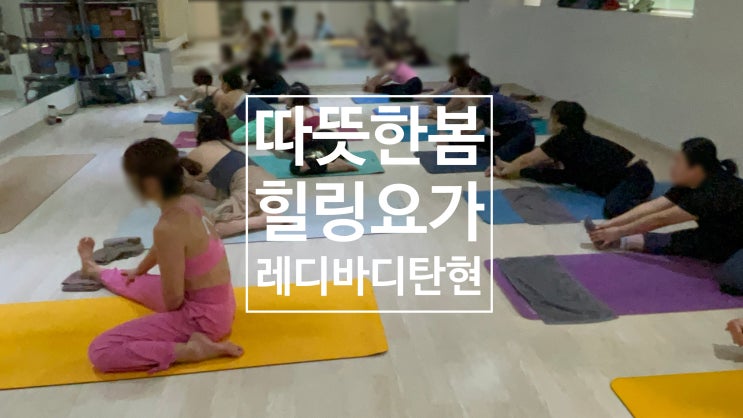  [일산 요가] 따뜻한 새봄 레디바디 탄현점에서 힐링요가로 에너지 충전해요