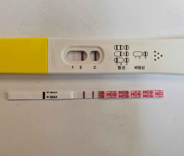  [난임일기] 3일배양 동결배아 3개이식 후 18일차 임테기 역전 및 초음파?!