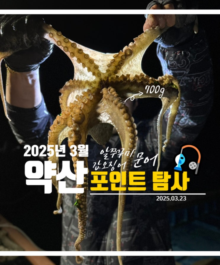  완도 갑오징어 쭈꾸미 문어 낚시 3월 약산도 포인트 탐사