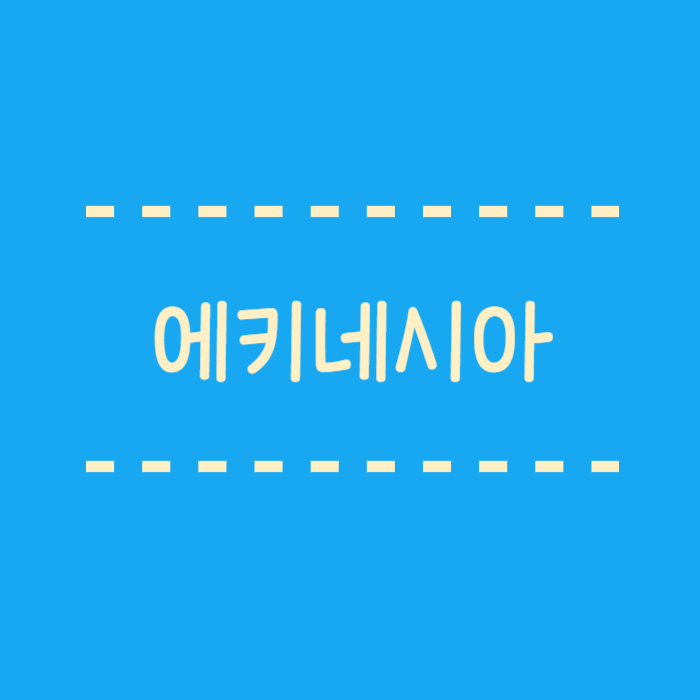  에키네시아 효능 초기감기에 직빵이라는 천연감기약