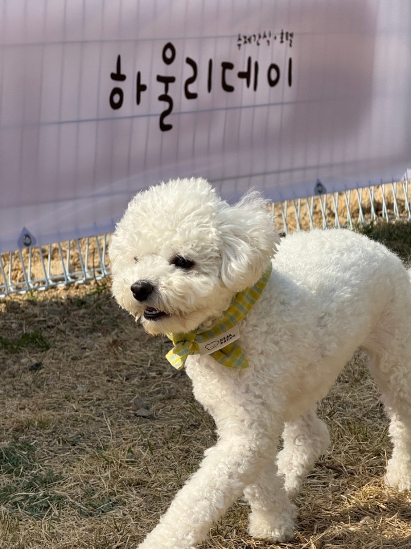 사진 4
