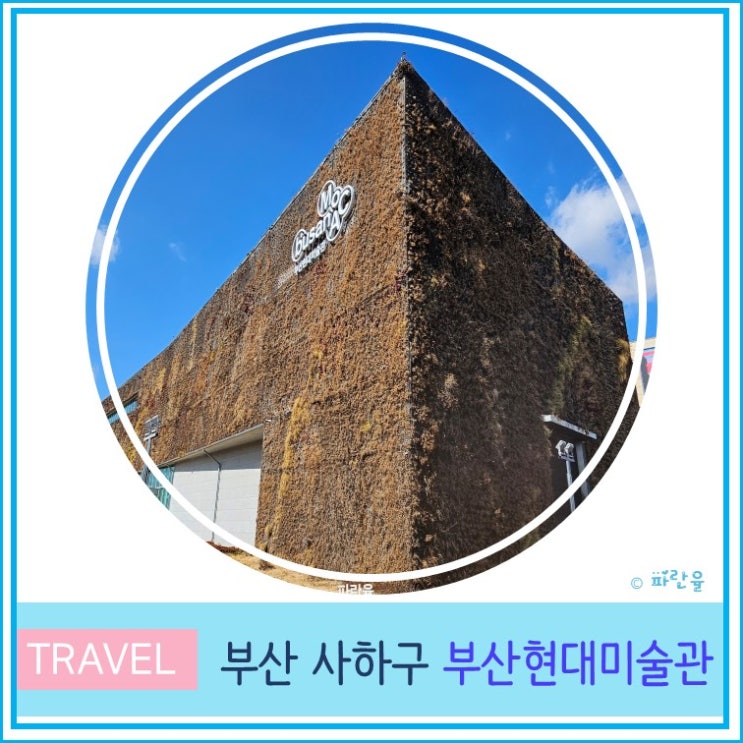  부산 현대미술관 실내 가볼만 한 곳 주차 입장료 미안해요 데이브  백남준특별전 전시 관람후기