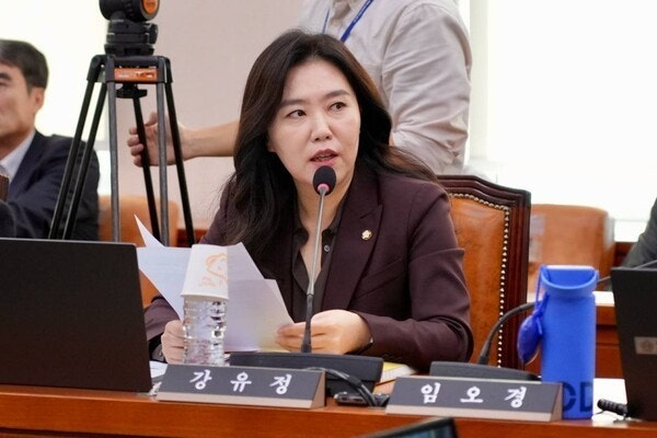 더불어민주당 국회의원 강유정 프로필 나이 고향 학력 경력 재산 "극우집회 힘 실어줘"