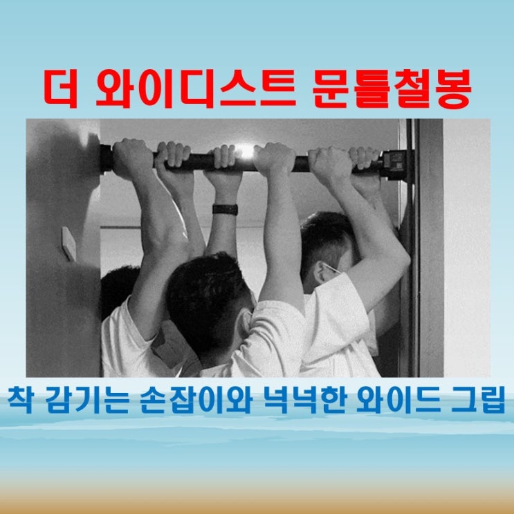  트라히어 문틀철봉 장단점, 턱걸이봉이나 풀업바 고민된다면