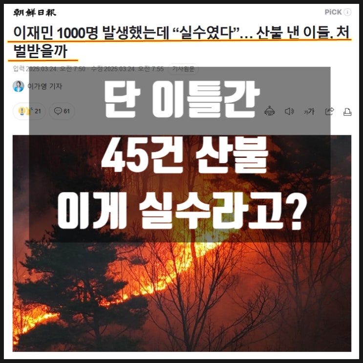 전국 동시다발 일어난 45건 산불 이게 실수라고?! 전국 동시다발 일어난 45건 산불 이게 실수라고?!