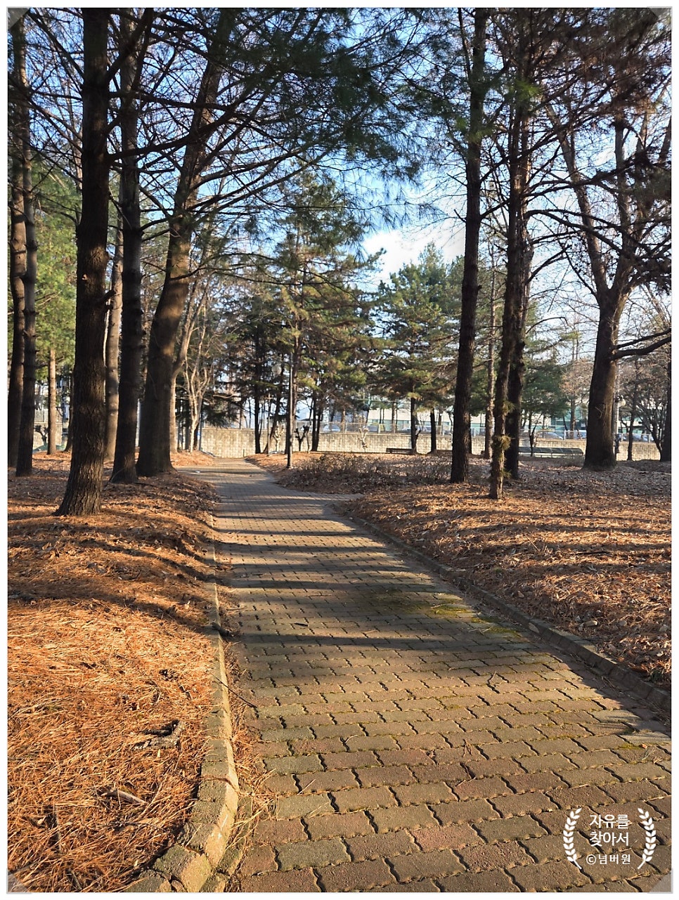 학골 사진 5