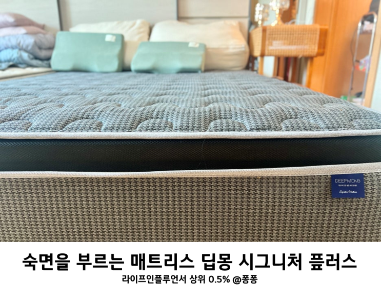  단단한 토퍼 일체형 하드 매트리스 브랜드 딥몽 시그니처 플러스 가성비 퀸사이즈 매트리스 추천