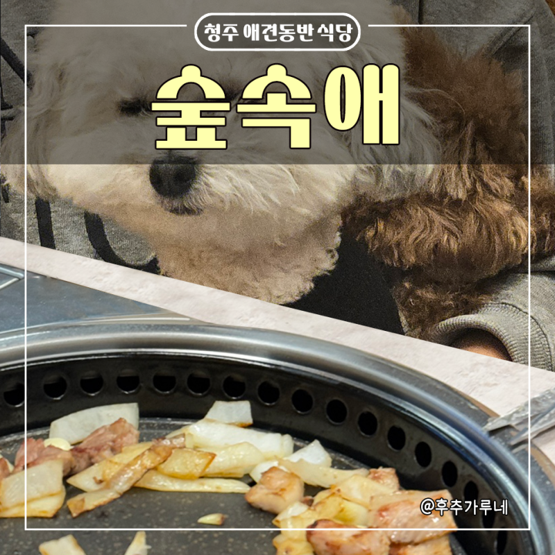 사진 2