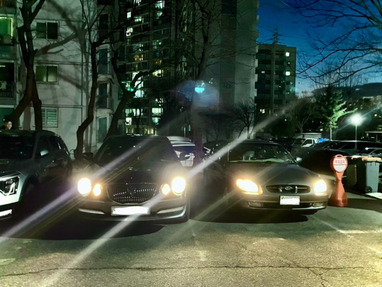  새로운 가족.