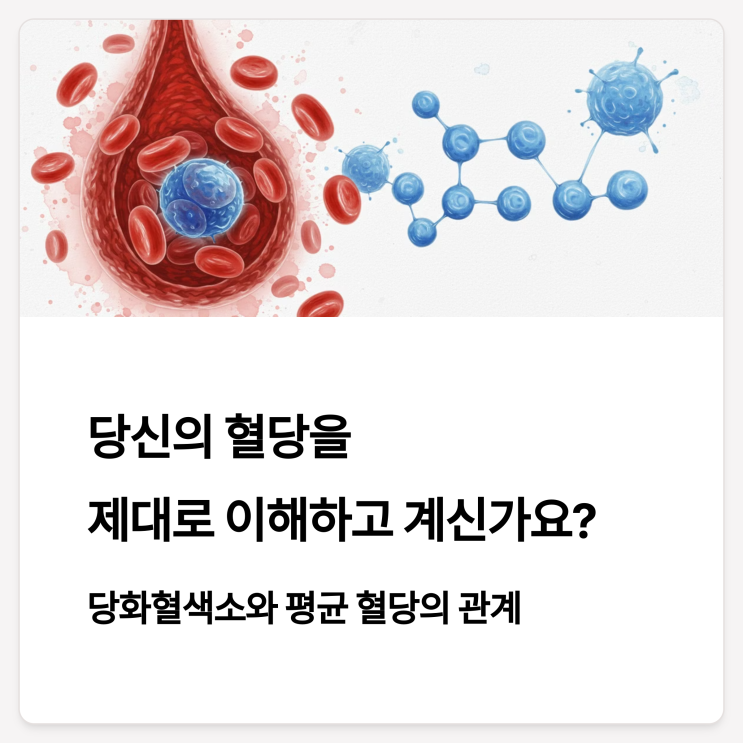  당화혈색소와 평균 혈당, 그 숨겨진 연관성 (서이추환영 블로그소통 맞이웃환영합니다.)