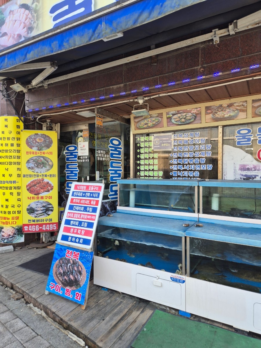 울둘목 사진 3