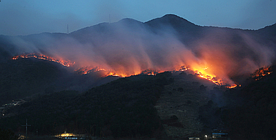옥천 <b>주불 진화</b> 5개 지역에 발생한 <b>산불</b>로 축구장 1만 894개... 