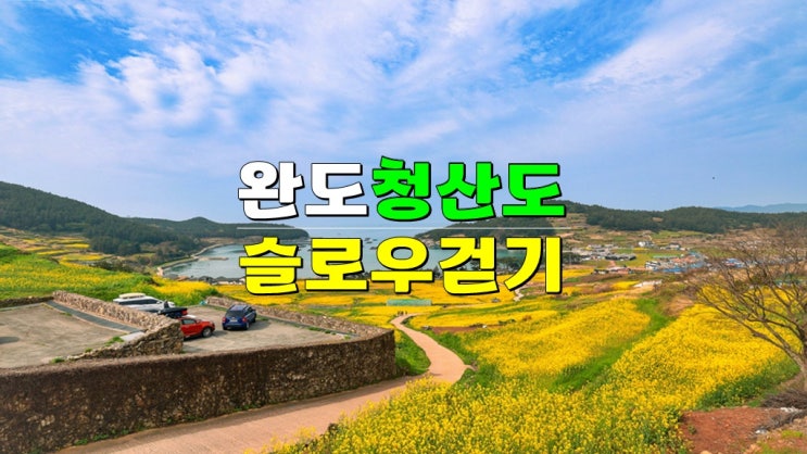 전남 완도 4월 가볼만한곳 · 2025 청산도 슬로걷기 축제 기본정보 배편 유채꽃축제 개화시기 전남 완도 4월 가볼만한곳 · 2025 청산도 슬로걷기 축제 기본정보 배편 유채꽃축제 개화시기