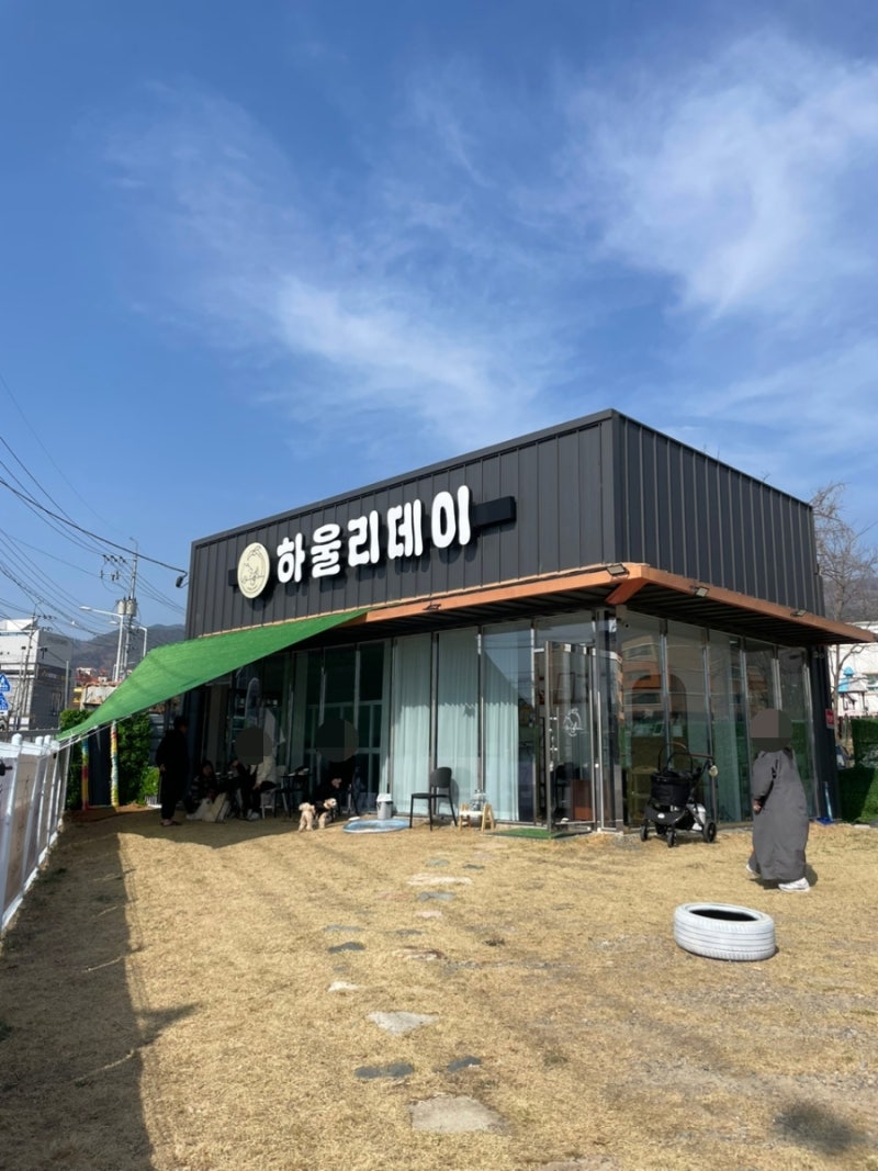 사진 5
