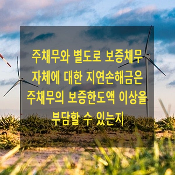  주채무와 별도로 보증채무 자체에 대한 지연손해금은 주채무의 보증한도액 이상을 부담할 수 있는지