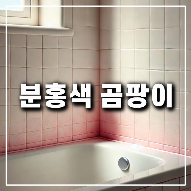  화장실 벽지 분홍색 곰팡이 원인 세면대 변기 물때 없애는법
