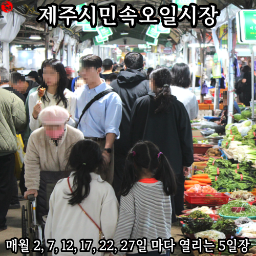 제주시 민속 오일시장 구경! 제주 오일장 날짜 정보 소개