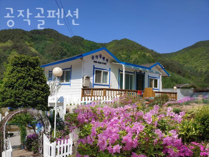홍천 공작골펜션 사진 1