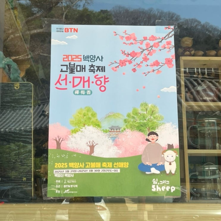  장성 꽃축제 백양사 매화, 동백꽃, 벚꽃길 명소 개화상황