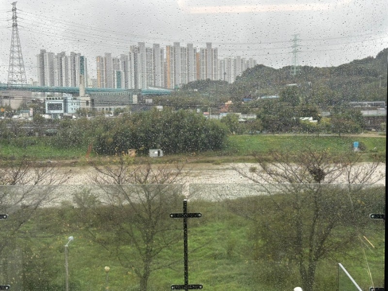 사진 7